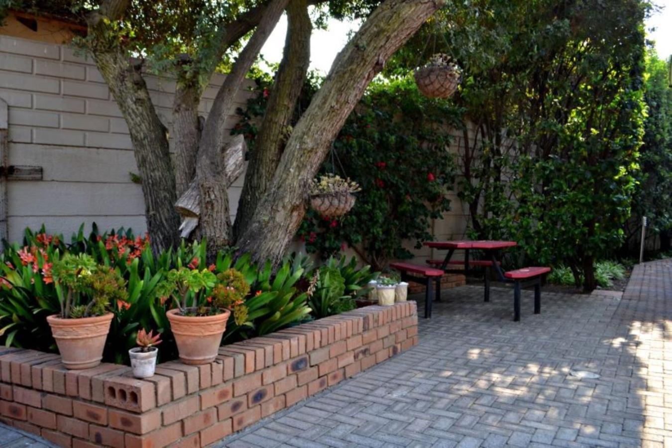 Bokmakierie Gastehuis Emalahleni Pty Ltd Dış mekan fotoğraf